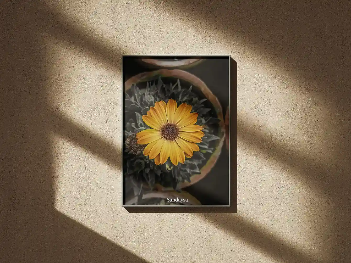 Yellow Flower Frame