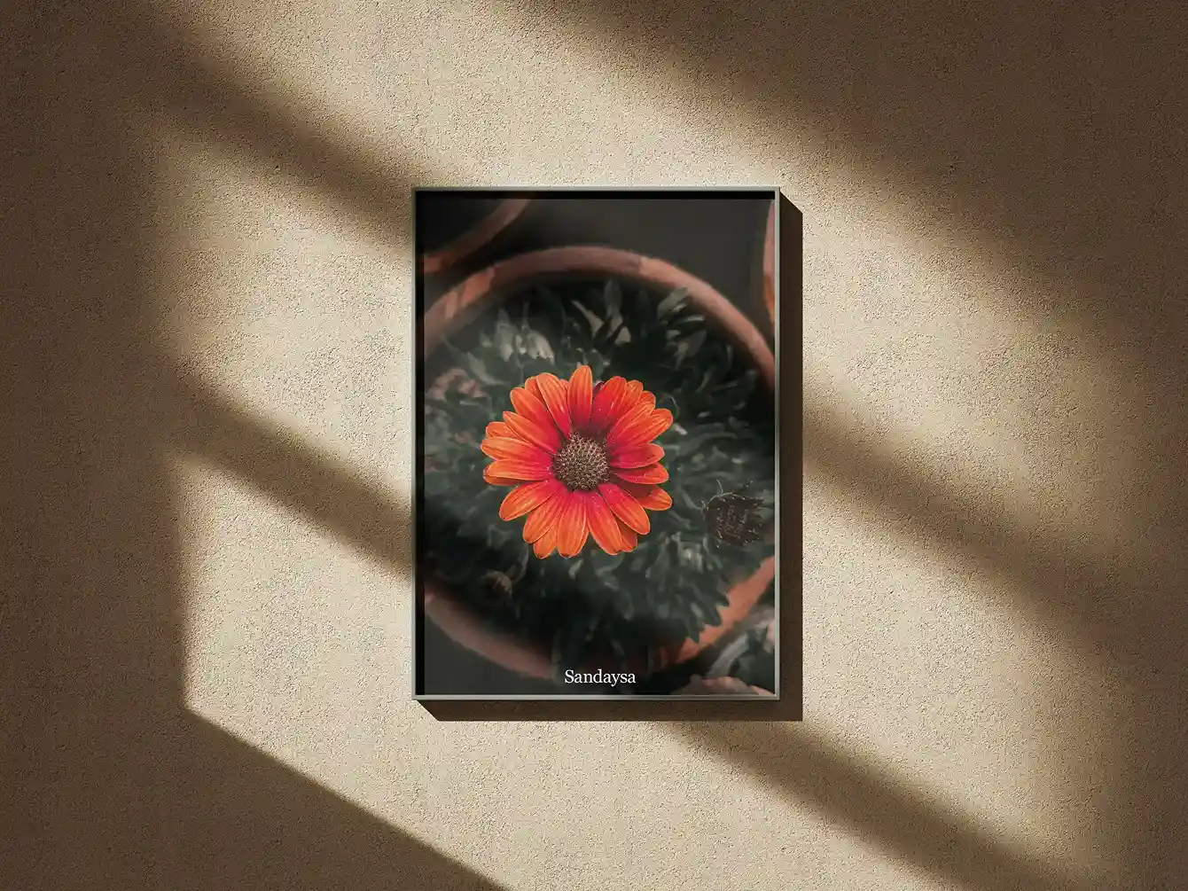 Red Flower wall Frame