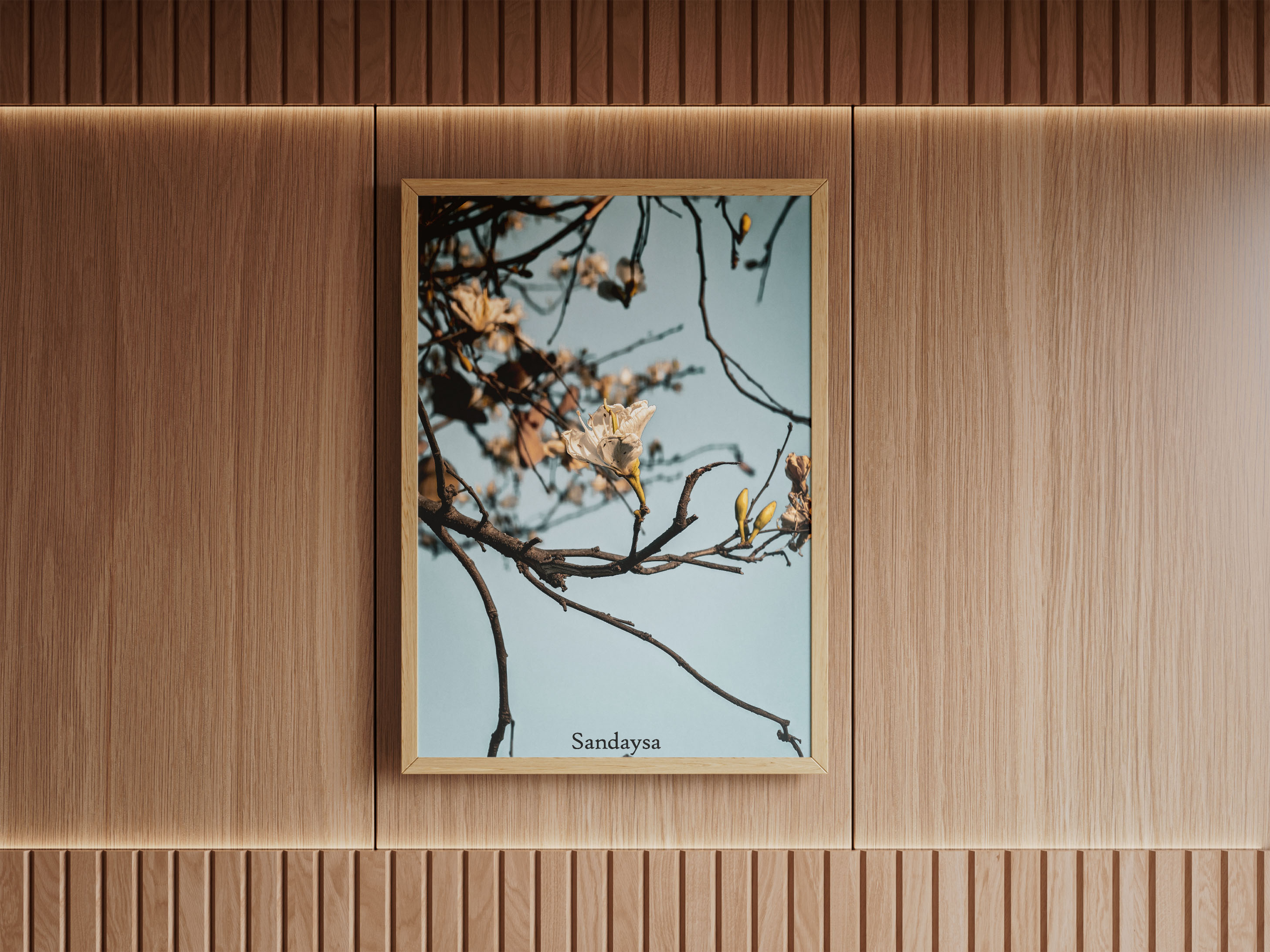 White Orchid Wall Frame